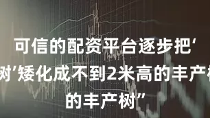 可信的配资平台逐步把‘大树’矮化成不到2米高的丰产树”